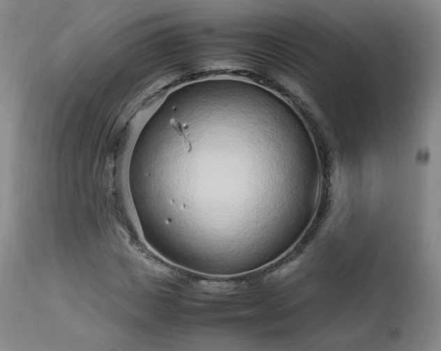 X0000112510825200908241418