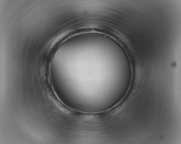 X0000112510826200908241418