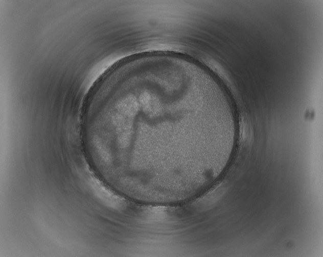 X0000112510828200908241418