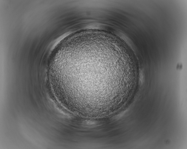 X0000112510829200908241418