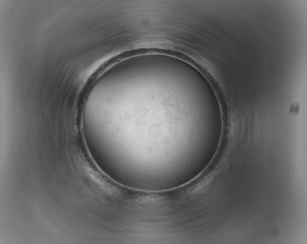 X0000112510830200908241418