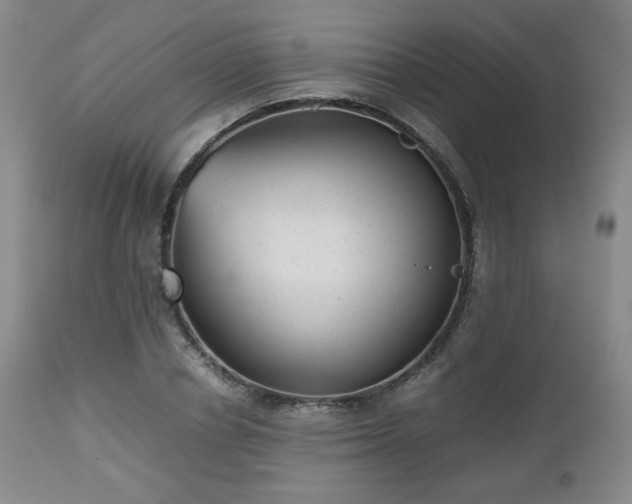 X0000112510834200908241418