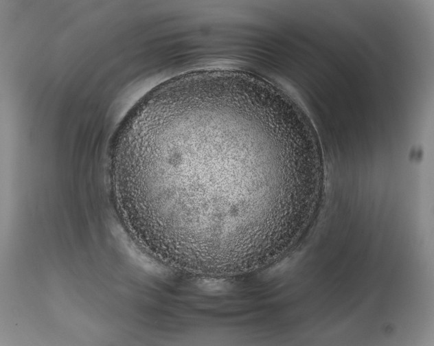 X0000112510835200908241418