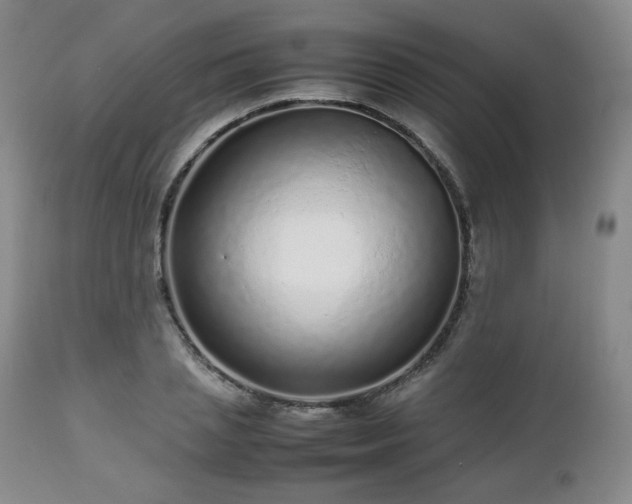 X0000112510837200908241418