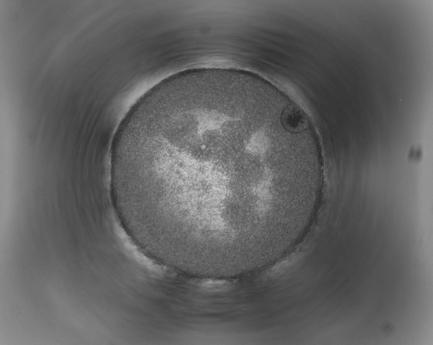 X0000112510839200908241418