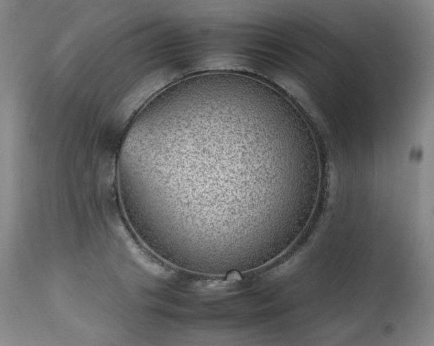 X0000112510841200908241418