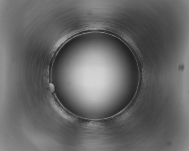 X0000112510842200908241418