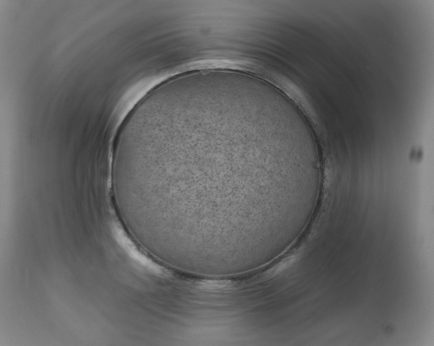 X0000112510844200908241418