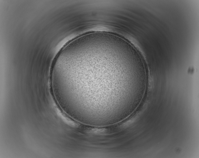 X0000112510845200908241418