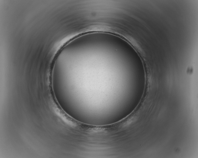 X0000112510846200908241418