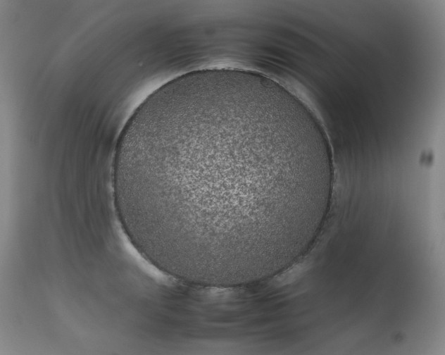 X0000112510847200908241418