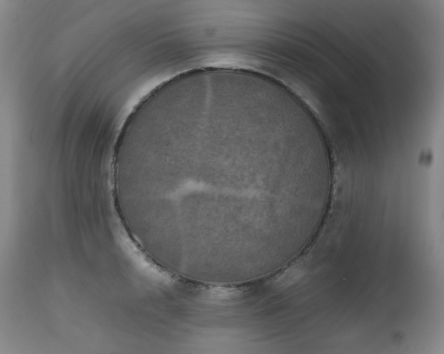 X0000112510848200908241418