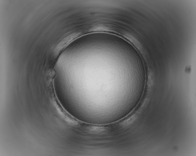 X0000112510849200908241418