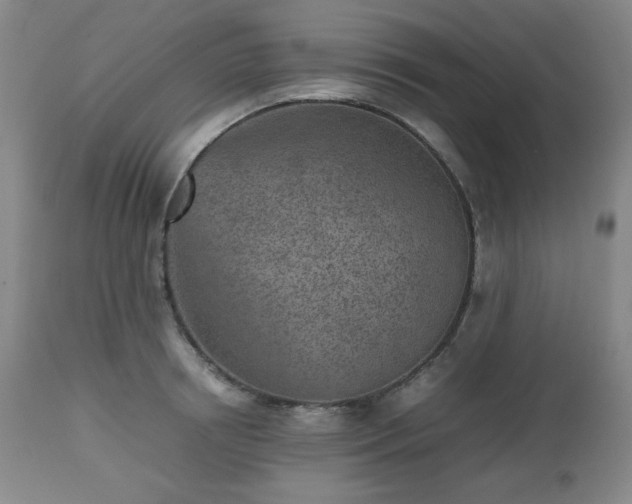 X0000112510850200908241418