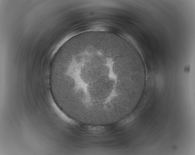 X0000112510851200908241418