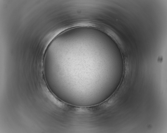 X0000112510852200908241418