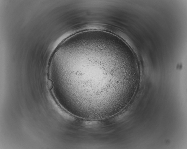 X0000112510853200908241418