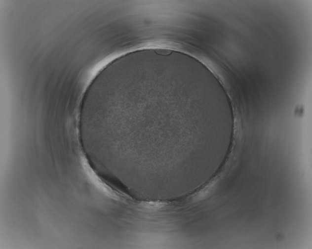 X0000112510854200908241418