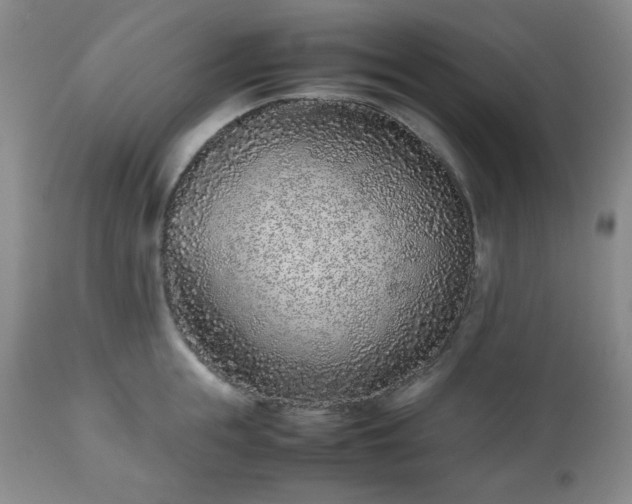 X0000112510855200908241418