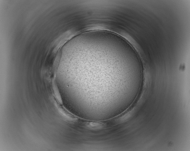 X0000112510857200908241418