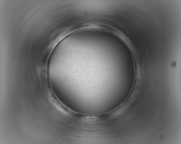 X0000112510858200908241418