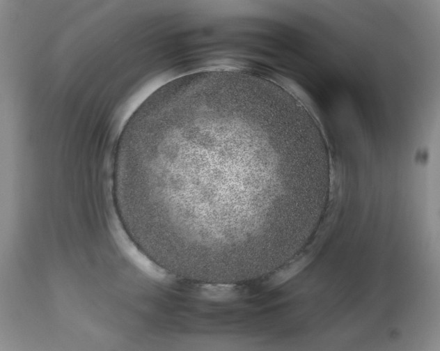 X0000112510859200908241418