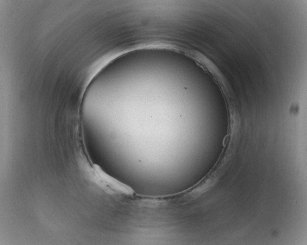 X0000112510860200908241418