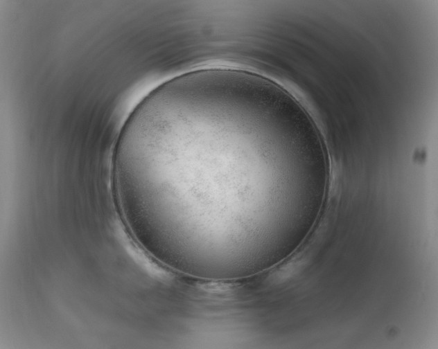 X0000112510862200908241418