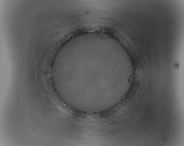 X0000112510865200908241417