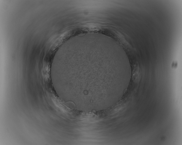 X0000112510866200908241417