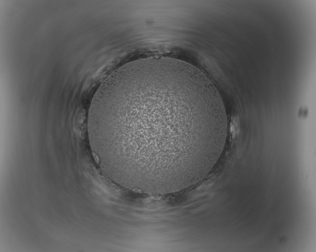 X0000112510867200908241417