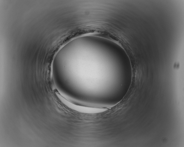 X0000112510868200908241417