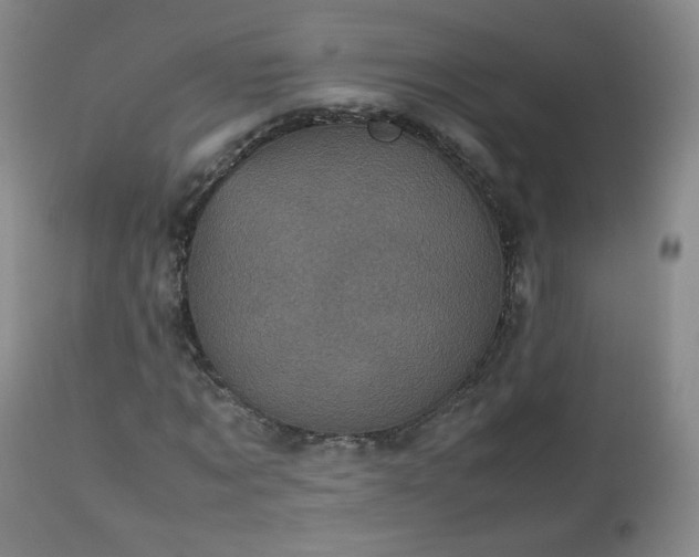 X0000112510869200908241417