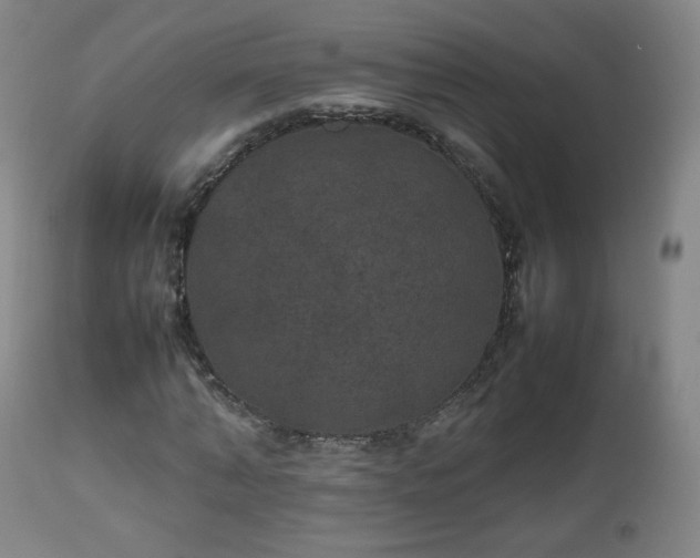 X0000112510870200908241417