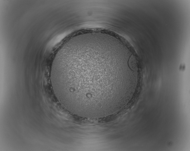 X0000112510871200908241417