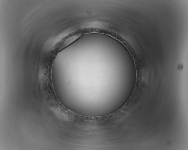 X0000112510872200908241417