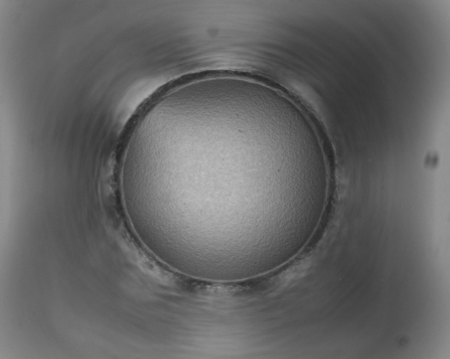 X0000112510875200908241417