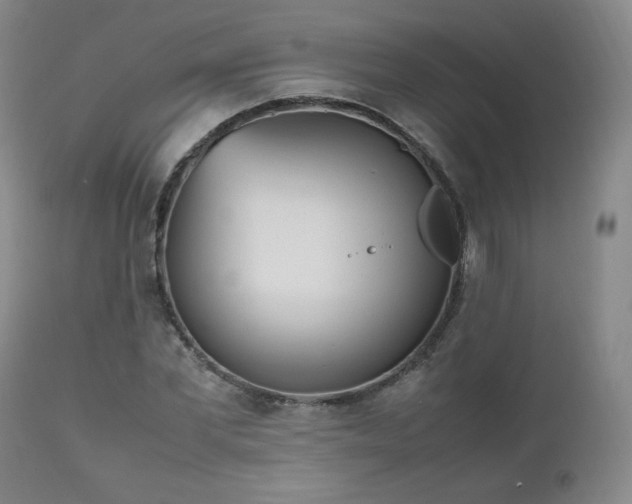 X0000112510877200908241417