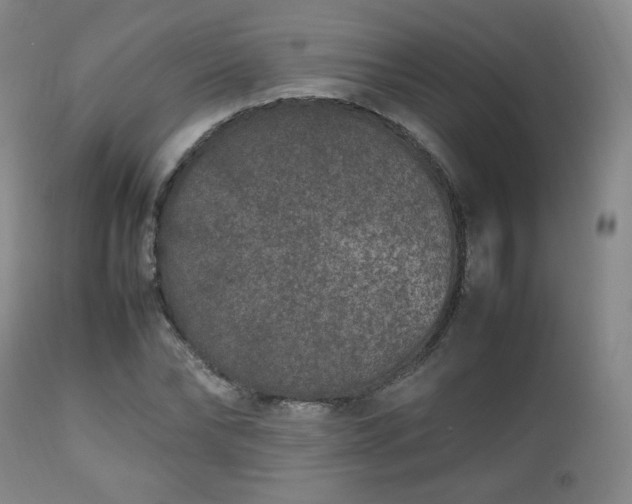 X0000112510878200908241417