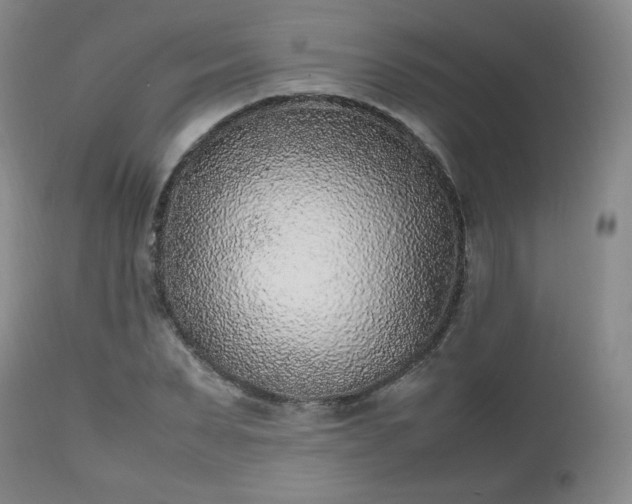 X0000112510879200908241417