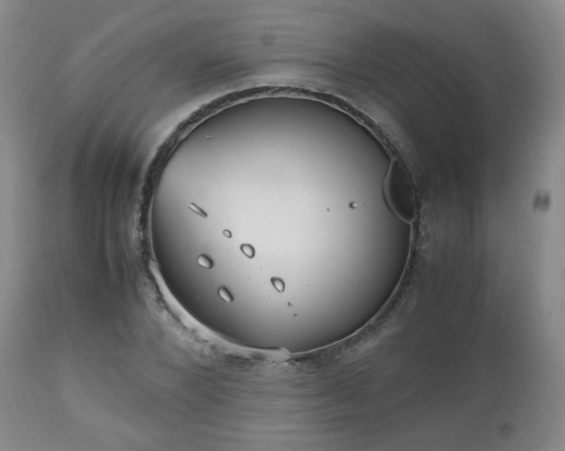 X0000112510880200908241417