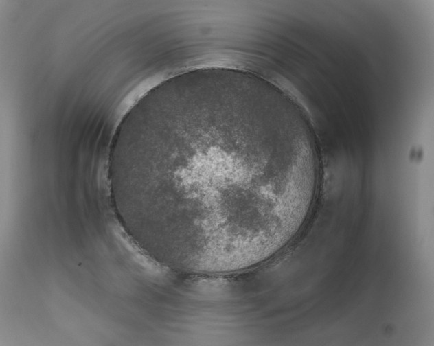 X0000112510882200908241417