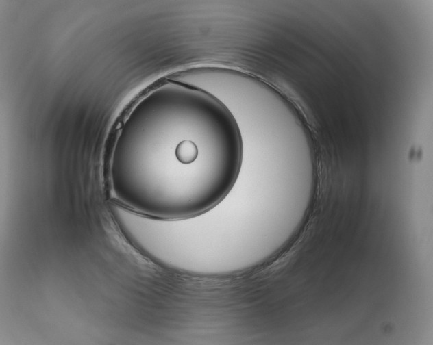 X0000112510884200908241417