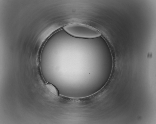 X0000112510885200908241417