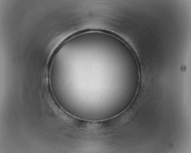 X0000112510887200908241417