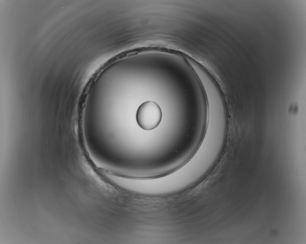 X0000112510888200908241417