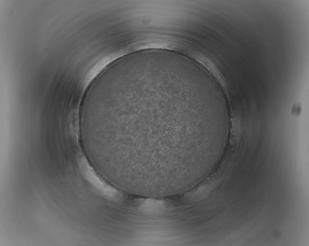 X0000112510890200908241417