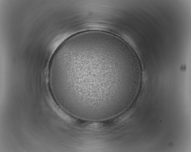 X0000112510891200908241417