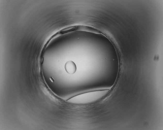 X0000112510892200908241417