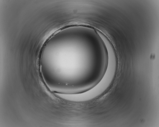 X0000112510893200908241417